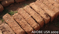 ADOBE USA 2009